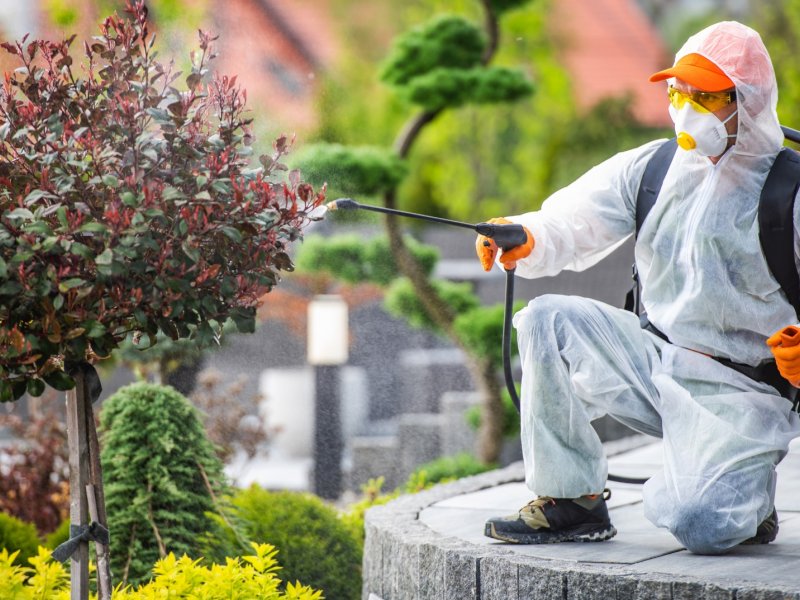 Çakmaklı Haşere İlaçlama